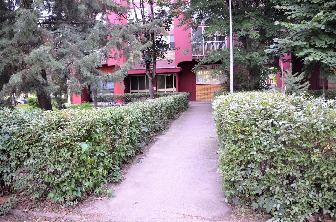 Balzak 64M2, Free Parking & Wi-Fi Appartement Novi Sad Buitenkant foto